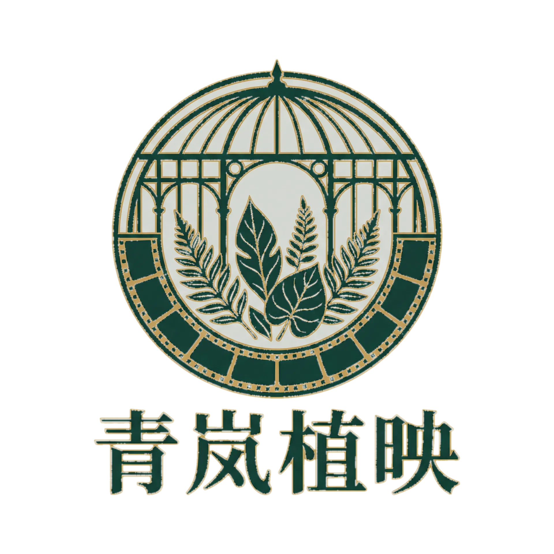 青岚植映